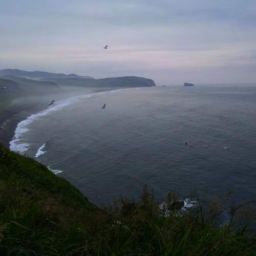 Photo #8855862