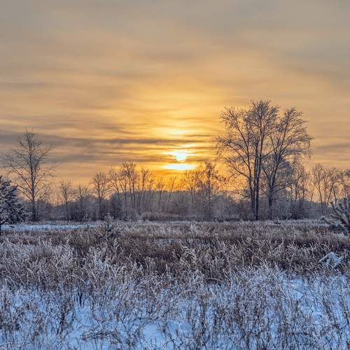 Photo #8855869