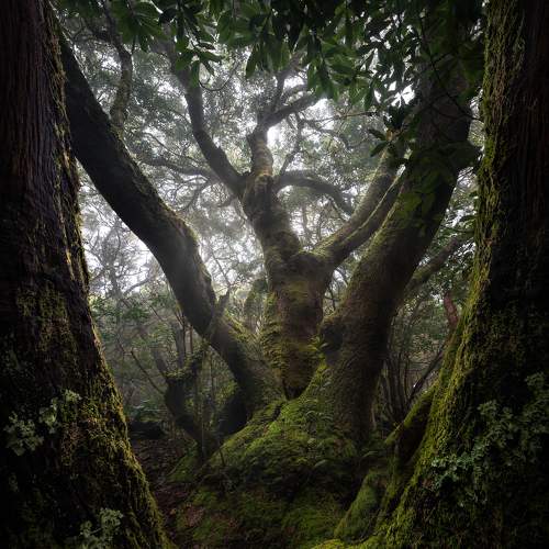 Photo #8856172