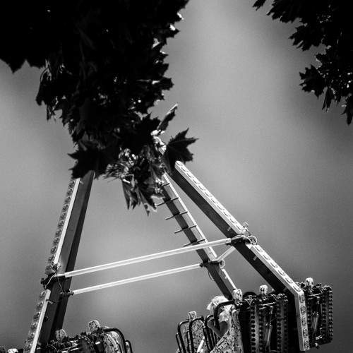 Photo #8856173