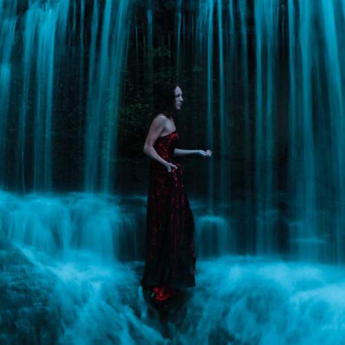 Photo #8856282