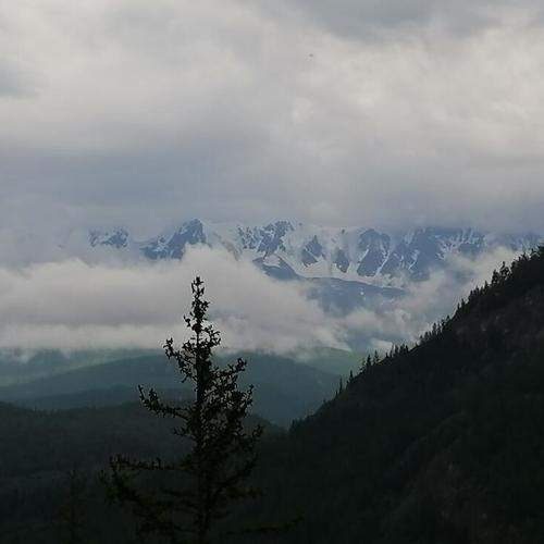 Photo #8856300