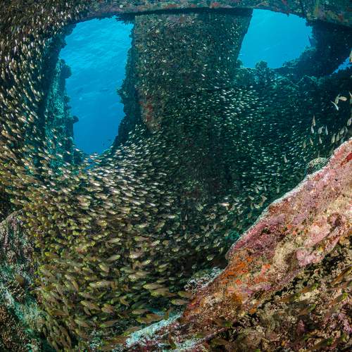 Фотография #8856690