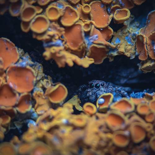 Photo #8857083