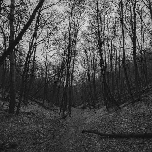 Photo #8857310