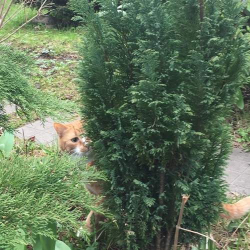 Photo #8857562
