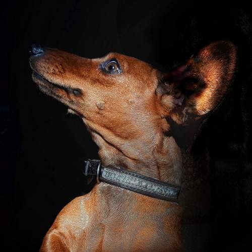 Photo #8857708