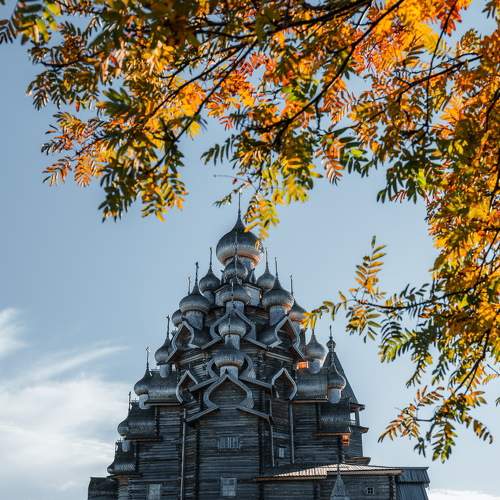Photo #8858486
