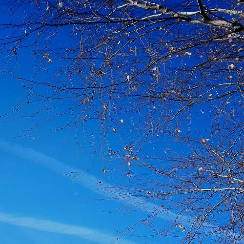 Photo #8858588