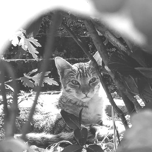 Photo #8858635