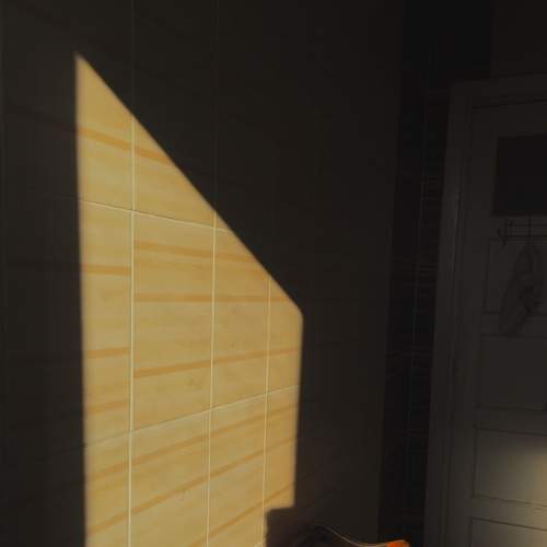 Photo #8858662