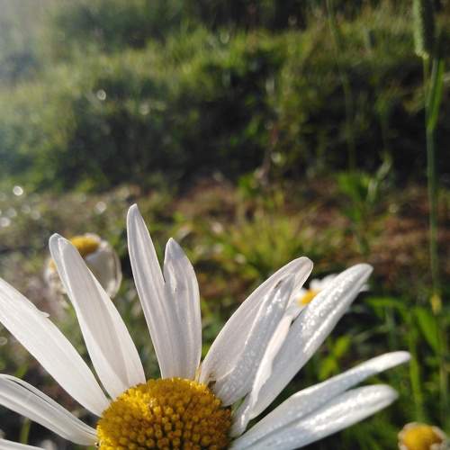 Photo #8858969