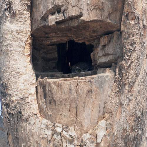 Photo #8859212