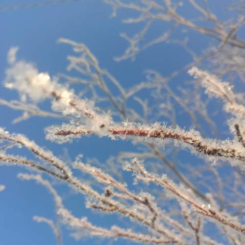 Photo #8859336