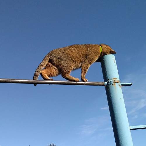 Photo #8859381