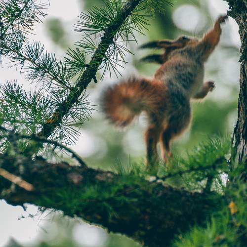 Photo #8859571