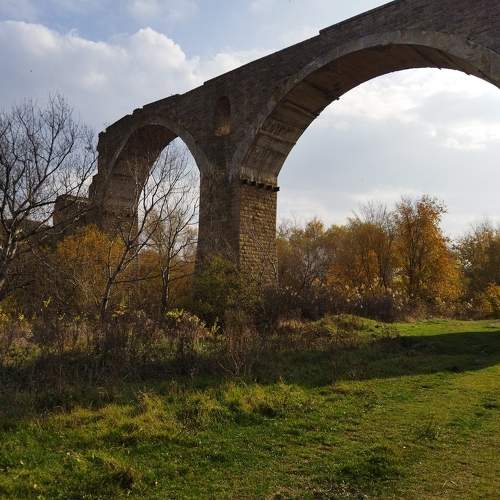 Photo #8859623