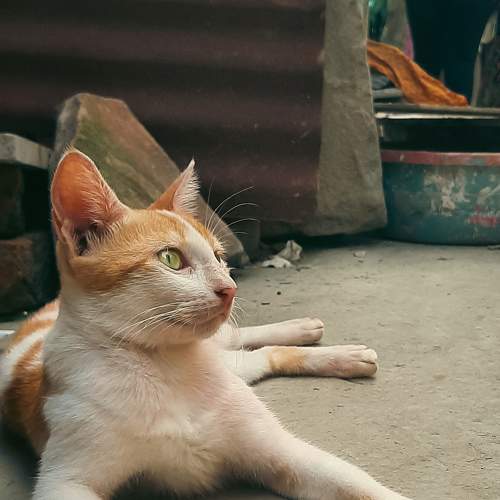 Photo #8859765
