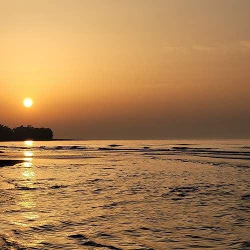 Photo #8859800