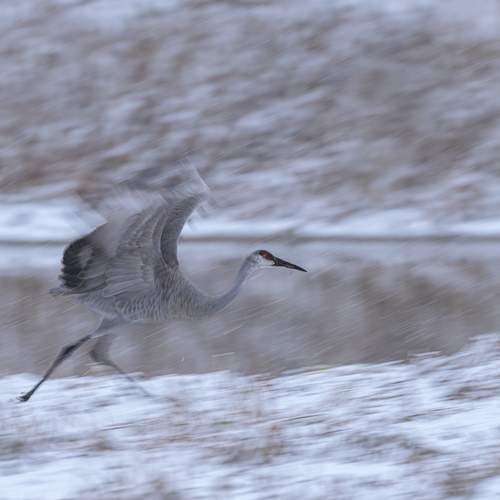 Фотография #8860179