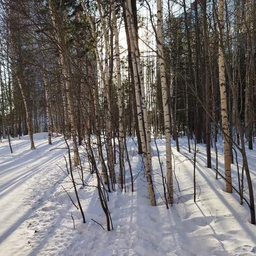 Photo #8860246