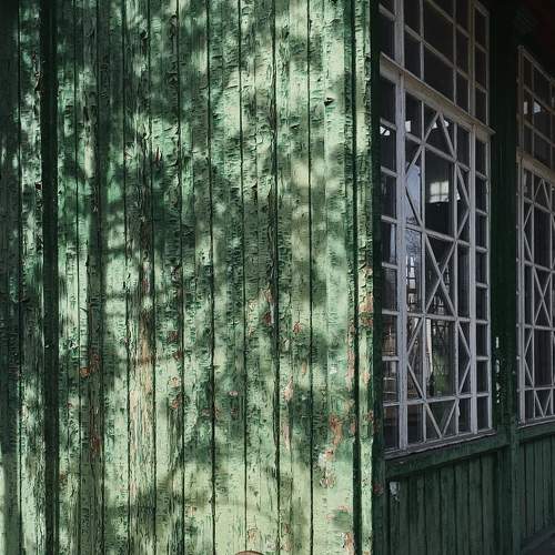 Photo #8860421
