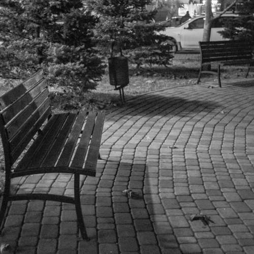 Photo #8860467