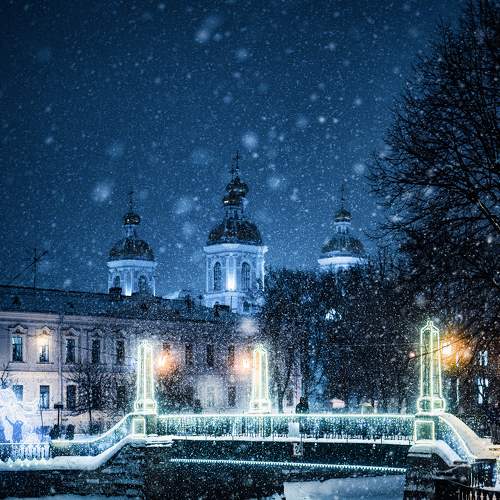 Photo #8860475