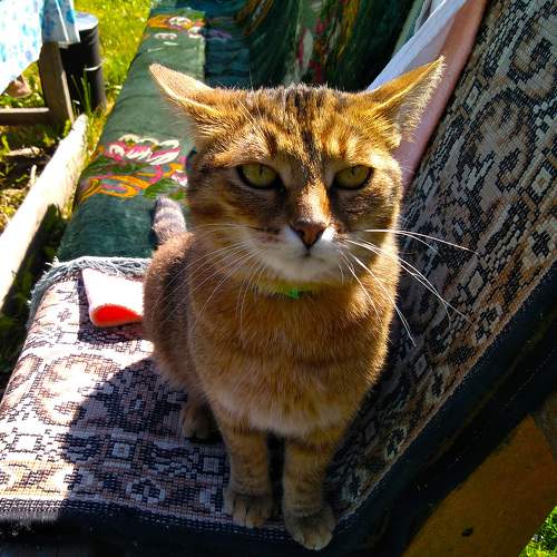 Photo #8861086