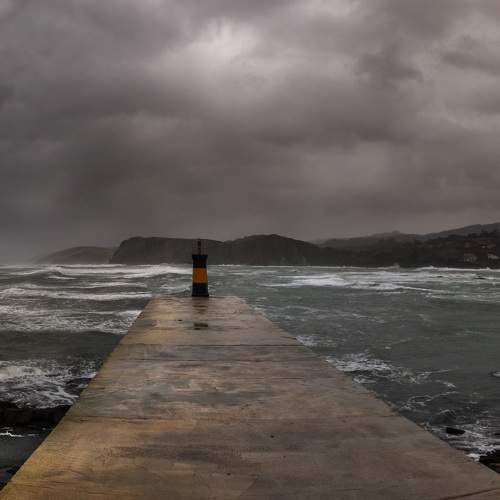 Photo #8861534