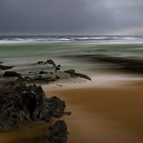 Photo #8861621