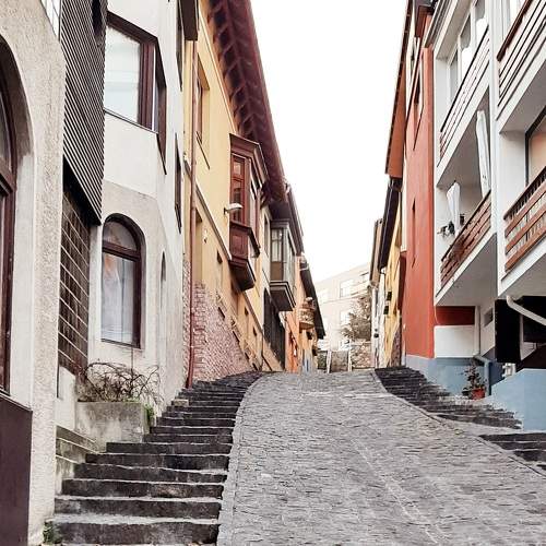 Photo #8861623