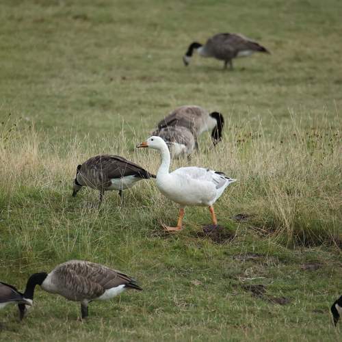 Photo #8861766