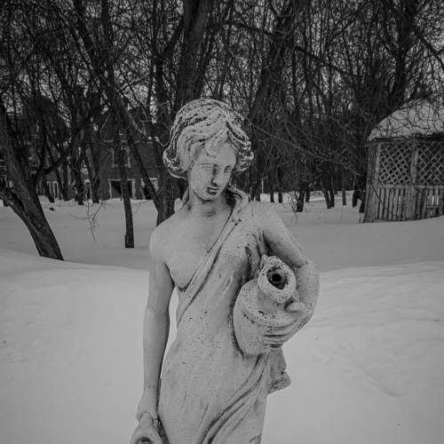 Photo #8862047