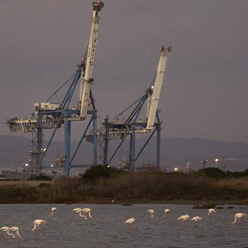 Photo #8862250