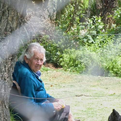 Photo #8862602
