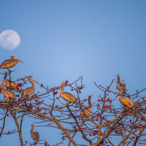 Photo #8862670