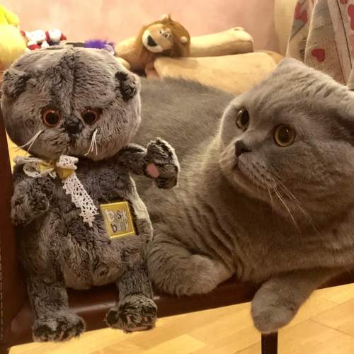 Photo #8862726