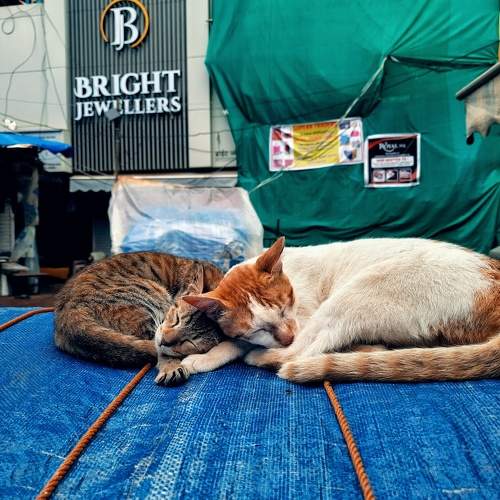 Inseparable