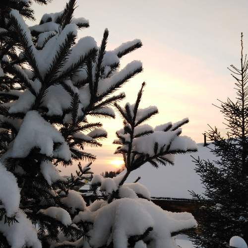 Photo #8863140