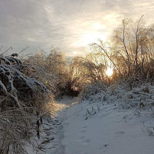Photo #8863333