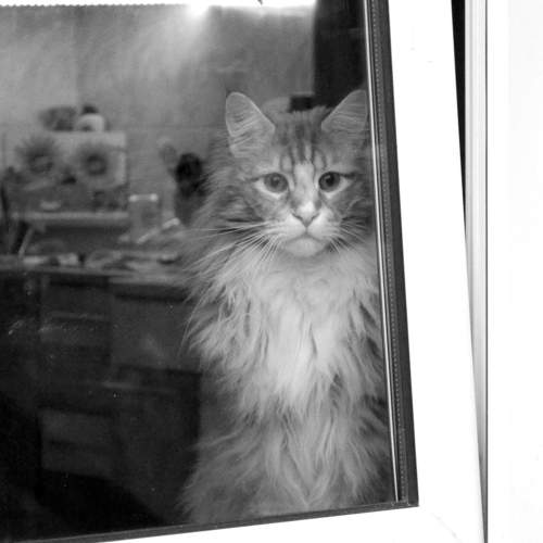 Photo #8863430