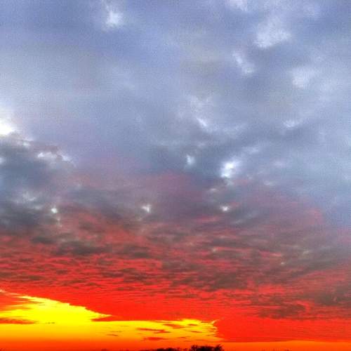 Photo #8863464