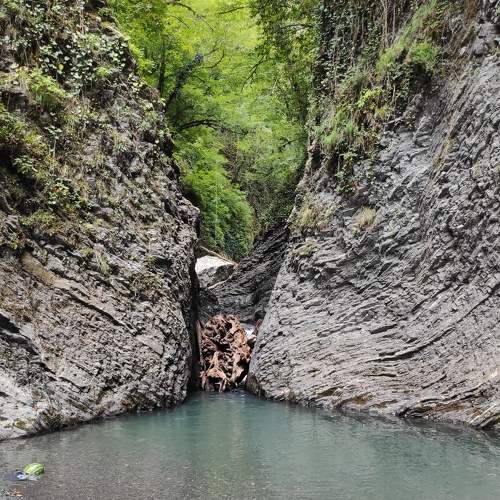 Photo #8863564