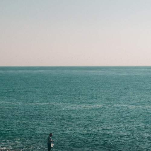 Photo #8863581