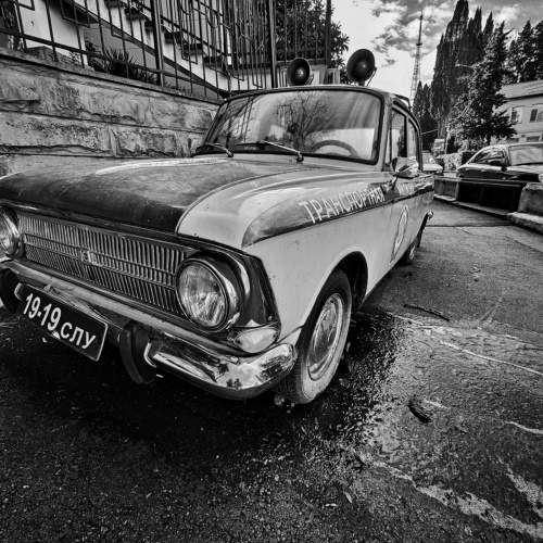 Photo #8863617