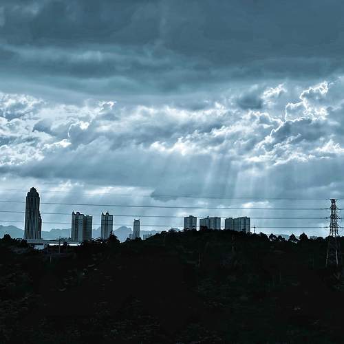 Photo #8863625