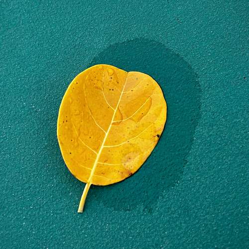 Photo #8863643