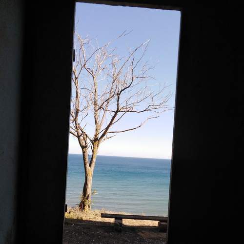 Photo #8863711