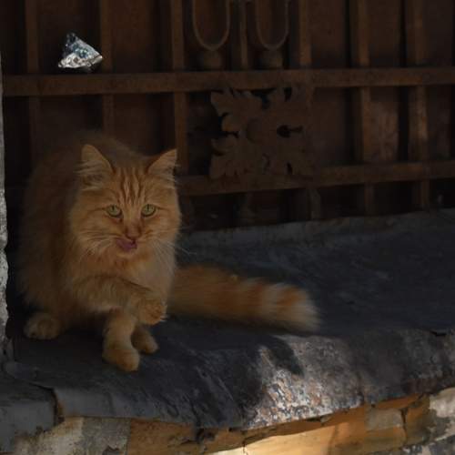 Photo #8864075